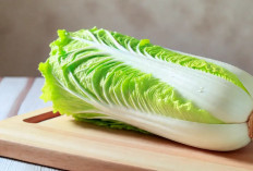 9 Manfaat Sawi Putih yang Bikin Tubuh Lebih Sehat