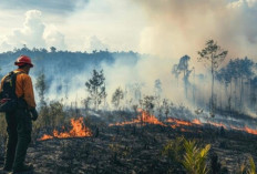 Kemarau 2026 Diprediksi Lebih Awal, BPBD Sumsel Perketat Antisipasi Kebakaran Lahan