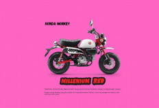 Tampilan Nostalgia dengan Teknologi Masa Kini, Simak Kelebihan dan Kekurangan Honda Monkey