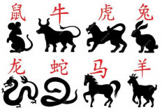 Ramalan Shio Kelinci, Shio Kuda, Shio Ayam, Shio Macan, Shio Naga Hari Ini