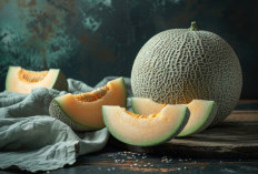 7 Manfaat Melon untuk Kesehatan yang Harus Diketahui