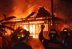 50 Jiwa Mengungsi, Kebakaran Hebat Landa Permukiman Padat di Kertapati