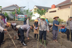 Lahan Milik Pengumpul Rongsokan di Prabumulih Digarap Polisi; Dukung Program Penanaman 1 Juta Hektar Jagung