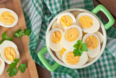 7 Makanan yang Ampuh Membantu Pembakaran Lemak Secara Alami