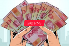 Menggiurkan! Gaji Badan Pangan Nasional di CPNS 2024, Maksimal Rp 7 Juta