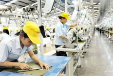 Tekstil Nasional Kolaps Diam-diam, Pemerintah Dinilai Tak Bertindak