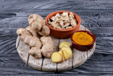 Nyeri Haid Bikin Tak Nyaman? Coba Redakan dengan 3 Makanan Ini
