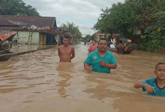 Pemprov Sumsel Sebut Ada Empat Fase Penanganan Bencana, Begini Penjelasannya, Simak!