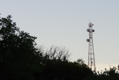 Peran Penting Micro dan Macro Tower dalam Perluasan Jaringan Seluler