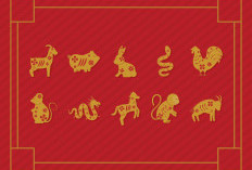 Ramalan Shio Naga, Shio Kelinci, Shio Ular, Shio Monyet, Shio Kuda Hari Ini