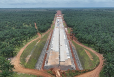 Hutama Karya Percepat Pembangunan Tol Palembang-Jambi dengan Inovasi Teknologi, Ini Progresnya!