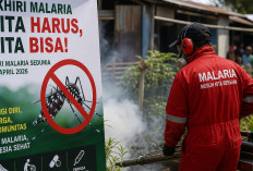 2025, Kasus Malaria Naik 30 Persen: Pemerintah Perkuat Strategi Menuju Indonesia Bebas Malaria 2030
