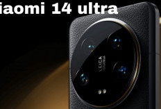 Inilah Deretan HP Xiaomi dengan Kamera Terbaik di Setiap Segmen