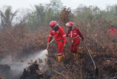 Terkendala Sumber Air dan Jarak, Pemadaman Karhutla di OKI Fokus di 2 Lokasi