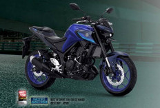 Motor Stylish yang Fungsional, Begini Kelebihan dan Kekurangan Yamaha MT 25