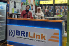 Dirasakan Manfaatnya, BRI Link Mudah Dijangkau Masyarakat Desa