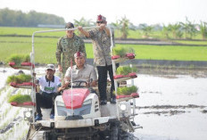 Stok Beras Nasional Capai 28 Juta Ton, Pastikan Cadangan Beras Aman 11 Bulan