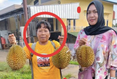 Dikenal Tulus dan Rajin Membantu, Warga - SDN 73 Prabumulih Kehilangan Sosok Bik Anop