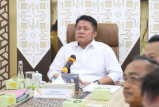 Koperasi Merah Putih Jadi Tulang Punggung Ekonomi Desa, Sumsel Sudah 60 Persen Rampung