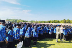 UU HKPD 2027 Bisa Pangkas Pegawai? PPPK Prabumulih: Semoga Ada Solusi