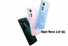 Oppo Reno 11F 5G Hadir 3 Varian Warna Menarik, Cek Spesifikasi dan Harganya...