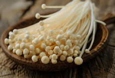 5 Manfaat Jamur Enoki untuk Jantung, Imunitas, dan Pencernaan