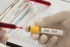 5 Fungsi Tes DNA: Dari Forensik Hingga Cegah Penyakit Genetik