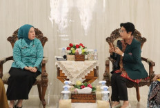 TP PKK Palembang dan IDI Segera  Kolaborasi