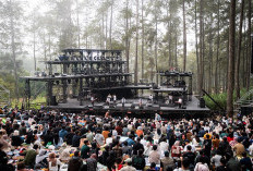 5 Festival Musik Alam di Indonesia yang Wajib Masuk Bucket List