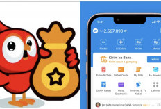 Hanya Membaca Dapat Uang, Coba Aplikasi Baca Plus:Ini Cara Kerjanya!