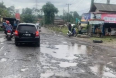 Jalan Rusak di Pulau Panggung, Ancaman Bagi Pengendara