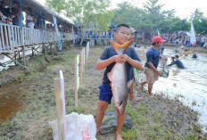 Ratusan Warga Ikut Tradisi Bekarang Iwak di Musi Banyuasin