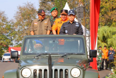 Antisipasi Karhutla, Palembang Dirikan Posko Siaga di Setiap Kecamatan