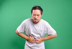 Rahasia Pencernaan Sehat, Tips Praktis Agar Perut Nyaman Setiap Hari