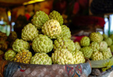 Mendukung Kesehatan Jantung dan Kulit, Ini 4 Manfaat Buah Srikaya 