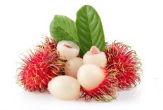 6 Manfaat Rambutan untuk Kesehatan yang Mungkin Belum Diketahui