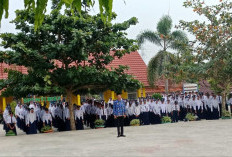 Ini Sekilas Tentang Sekolah Ramah Anak