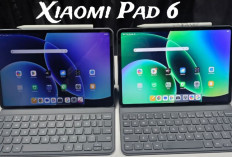 Xiaomi Pad 8: Layar 12 Inci dan Snapdragon 8s Gen 4 Siap Bersaing di Pasar Tablet