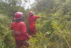 Fokus Padamkan 2 Titik Api Aktif Karhutla di Jungkal Pampangan OKI, Target Mopping Up Tuntas