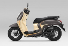 Begini Spesifikasi Honda Scoopy, Desain Ikonik dengan Teknologi Modern dan Performa Efisien