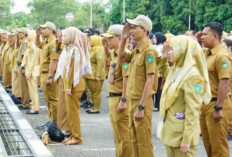 Februari, PNS Terima Kenaikan Gaji?