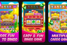 Dapat Saldo DANA Rp250.000 Gratis dari Bingo Cash, Begini Caranya!