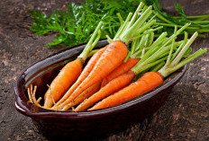 Mata Terjaga, Hidup Lebih Nyaman: Manfaat Wortel yang Jarang Diketahui