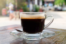 Mengkonsumsi Kopi Apakah Sehat Untuk Liver, Ini Fakta yang Harus Kamu Tau