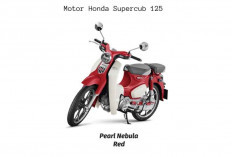 Motor Iconic dengan Desain Classic Buat Honda Supercub C125 Tampil Keren, Segini Harganya