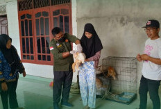 Cegah Penyebaran Rabies, Distan Prabumulih Gelar Vaksinasi Hewan Door to Door