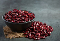 4 Manfaat Alami Kacang Merah, Menjaga Kesehatan Jantung Hingga Jadi Teman Diet