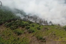 Kebakaran Melanda Perkebunan Kelapa Sawit di Muaro Jambi