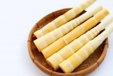 Membantu Mengontrol Tekanan Darah, Ini Manfaat Rebung Untuk Kesehatan
