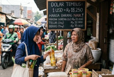 Nilai Tukar Rupiah Anjlok, Harga Barang Impor Terancam Naik